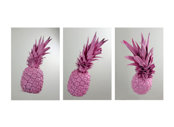 #01 - Stephan van Kuyk - Pineapple in Pink